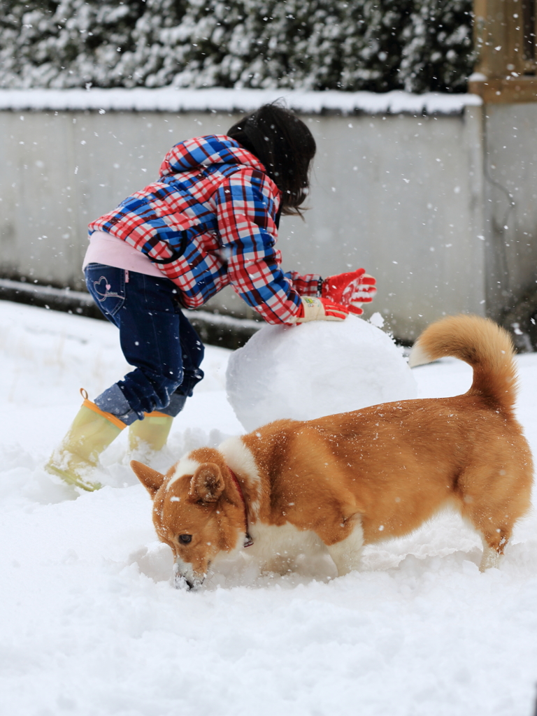 雪だるま合戦