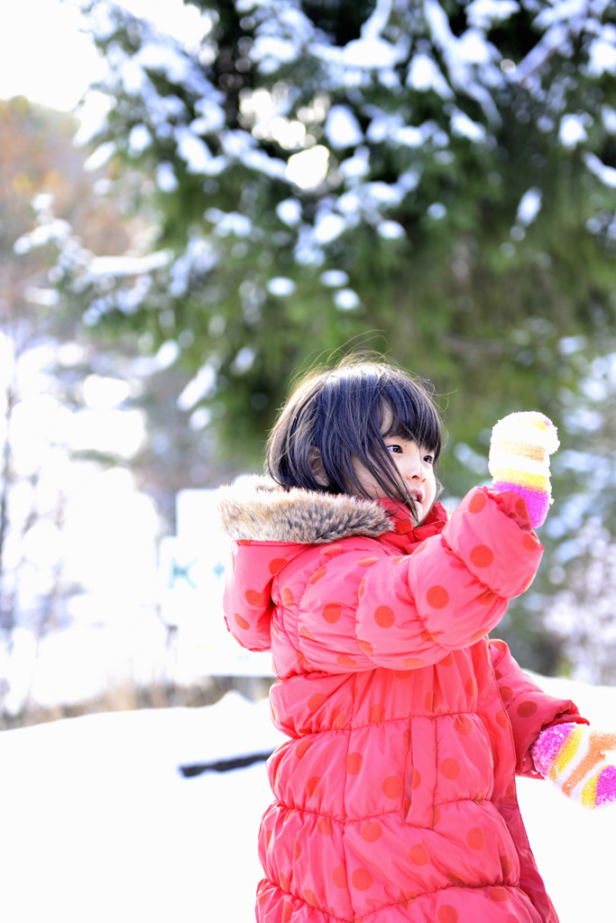 雪に感動