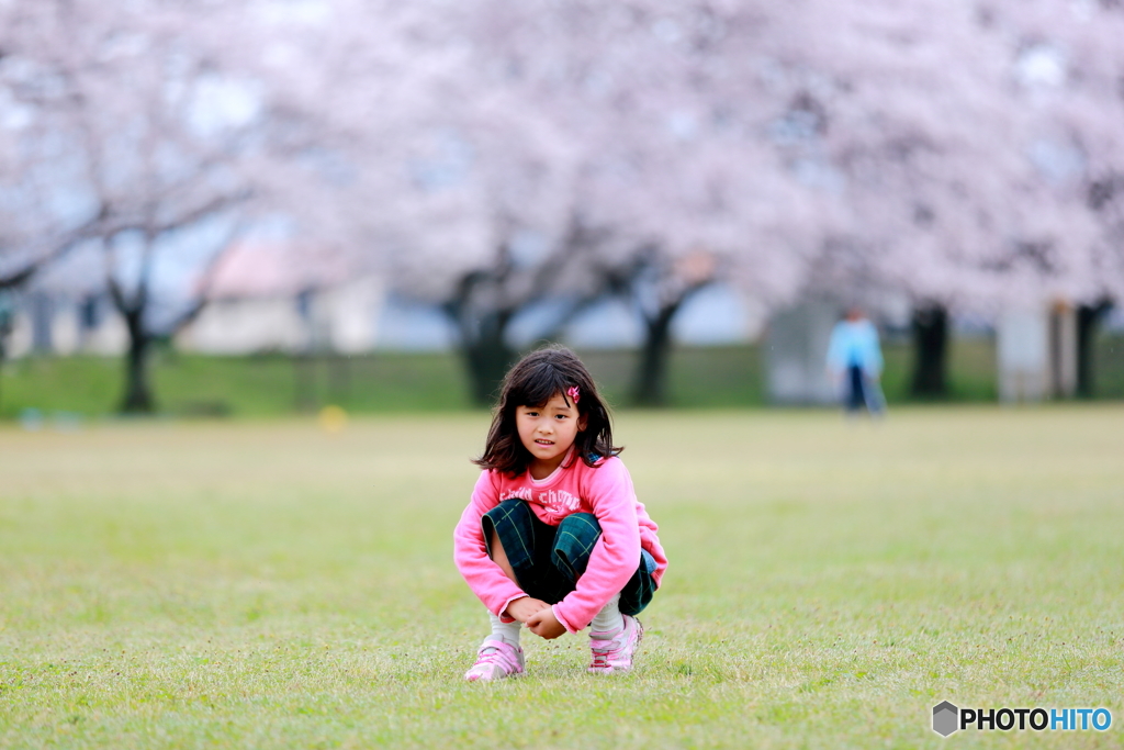 桜の広場