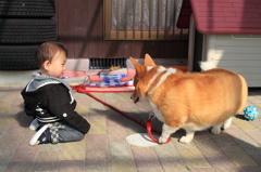 孫と愛犬（会話中）
