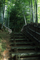 竹林道