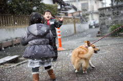 雪が降って喜ぶのは子供と犬だけ^^