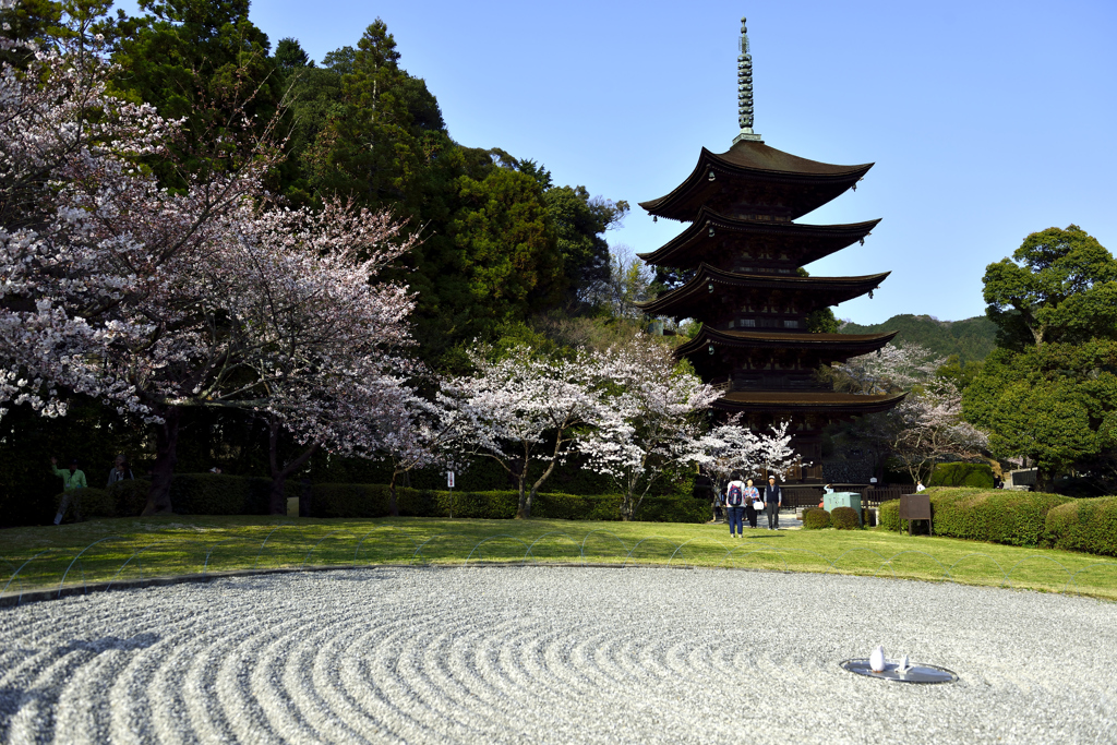 小春日よりの瑠璃光寺