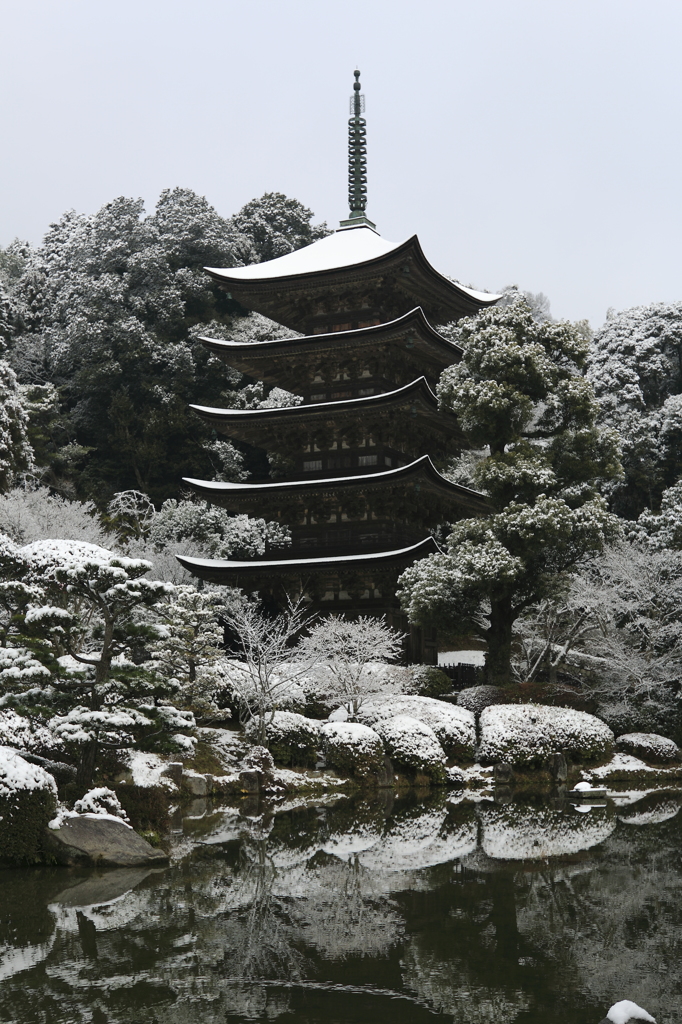 初春の雪化粧