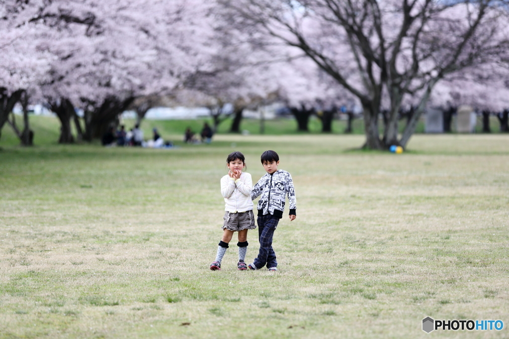 桜とキメポーズ