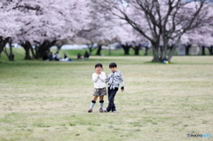 桜とキメポーズ