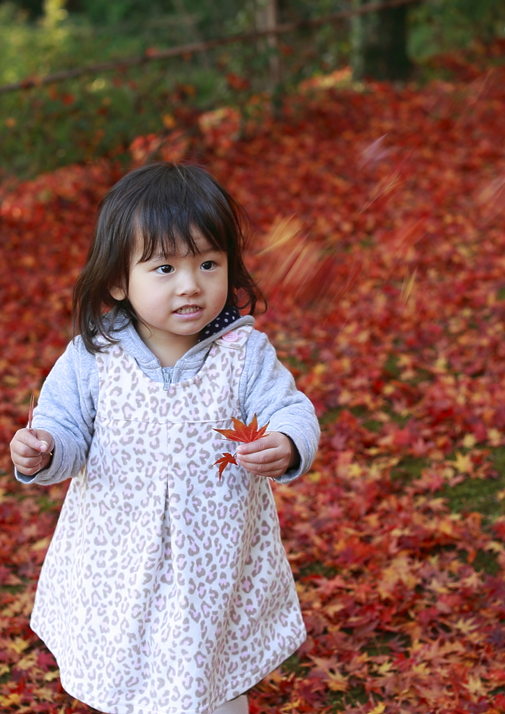 紅葉狩り