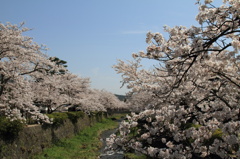 一の坂川