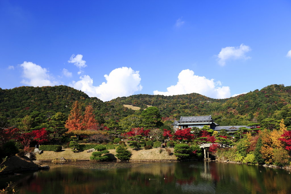 毛利庭園の紅葉