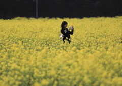 菜の花畑の美人