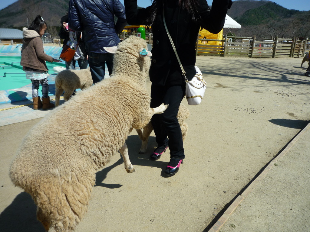 餌くれ