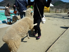 餌くれ