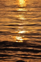 夕陽のライン