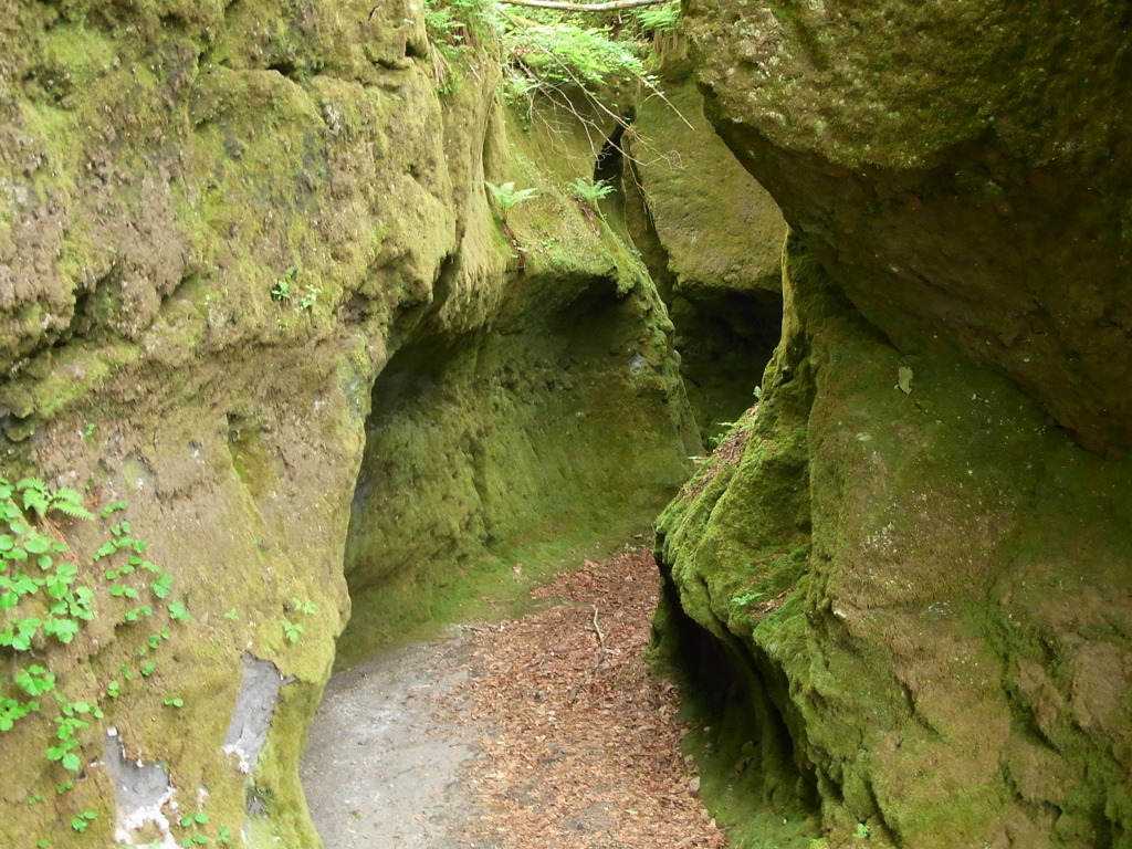北海道（苔の洞窟）
