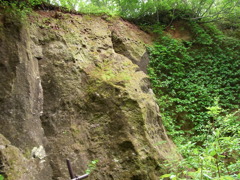 北海道（苔の洞窟）