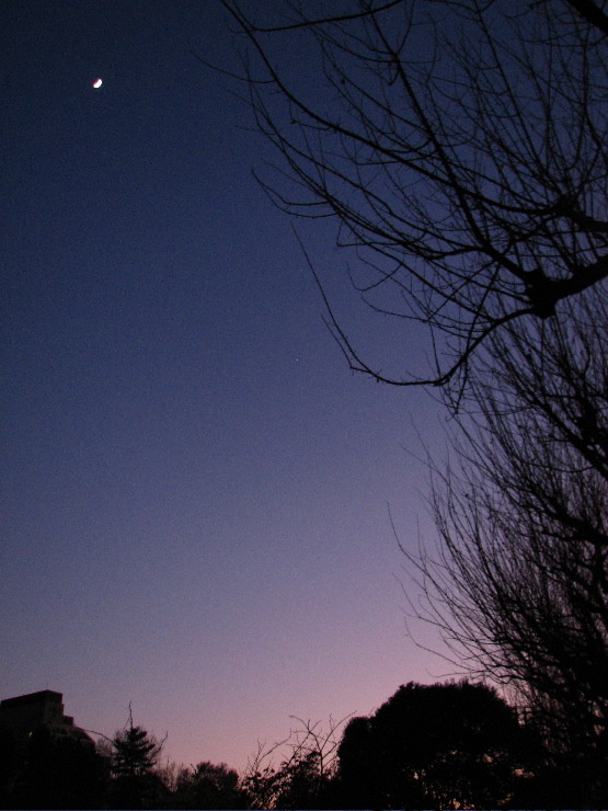 師走の月夜