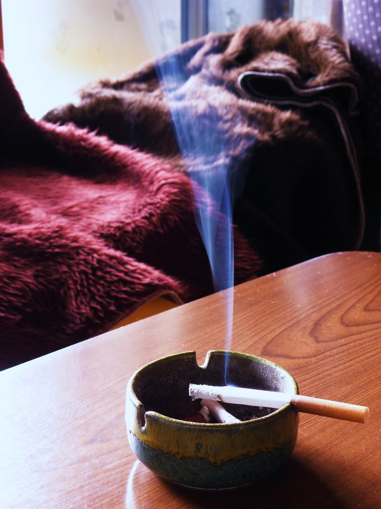 こいつと居る毎日