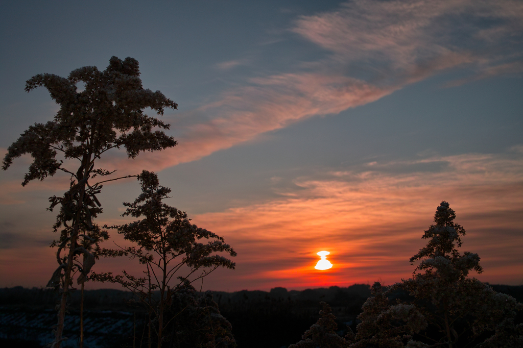 SDIM0674