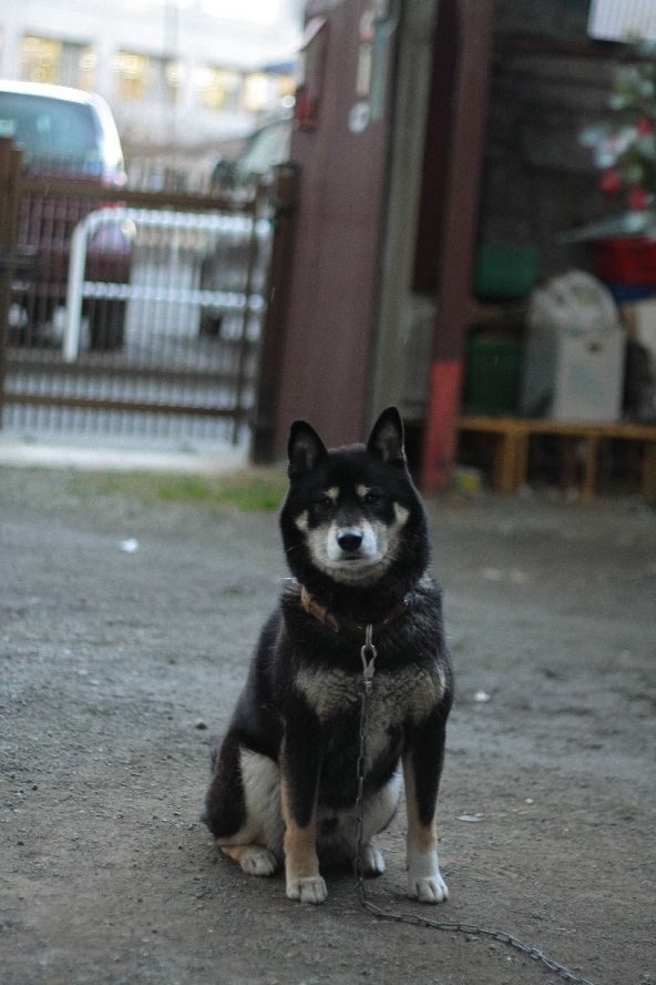 えっ　呼びました？