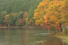 水に映える紅葉