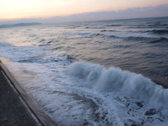 P1031855
