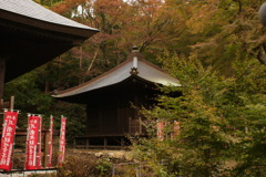 DSC00786