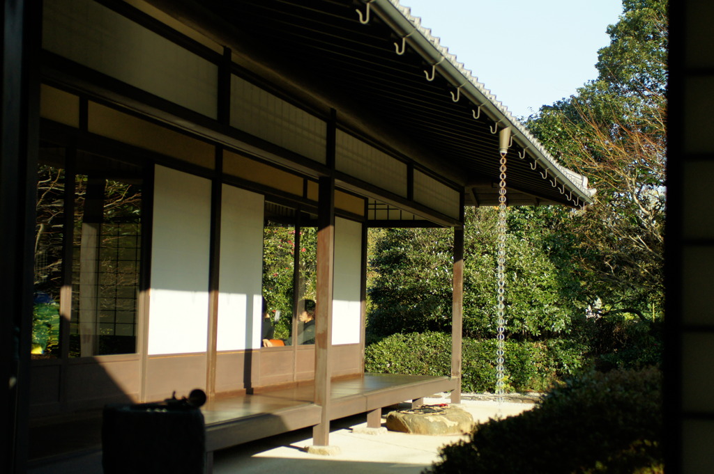 DSC00789