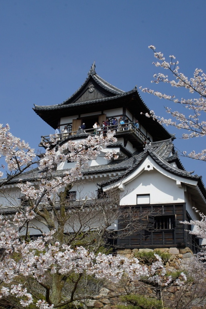 犬山城1