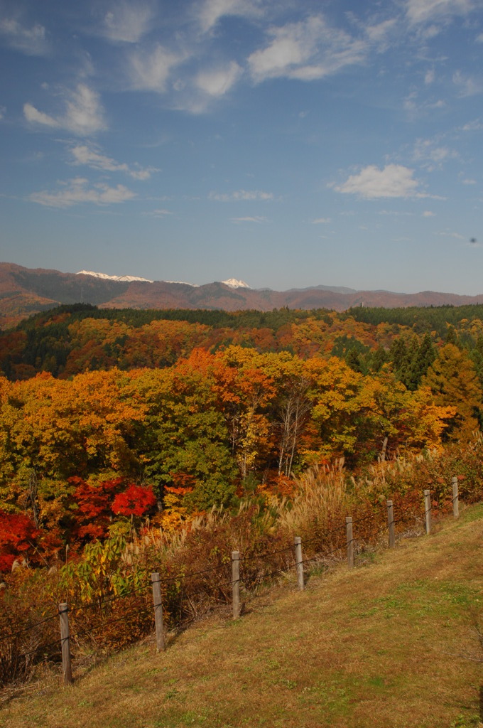 DSC_01151111111 (164)