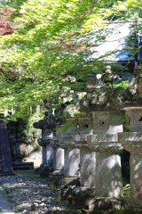 日陰の灯篭