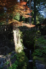 光影