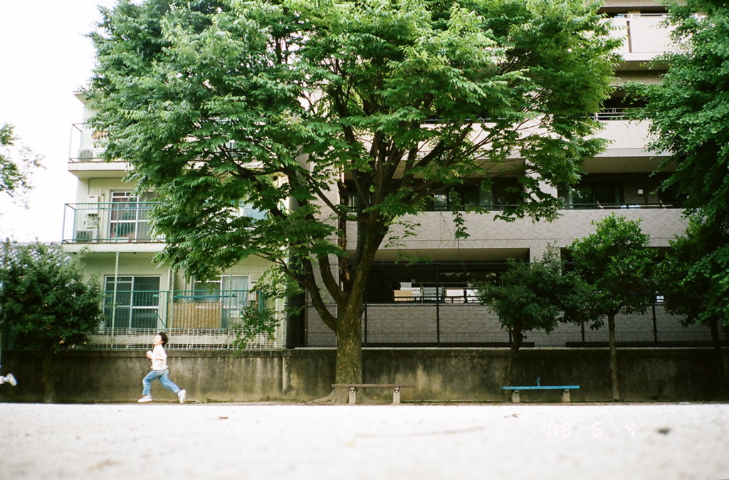 追っかけっこ