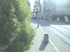 毎日とおるみち