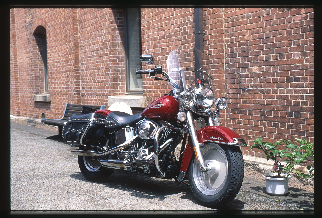 HARLEY-DAVIDSON
