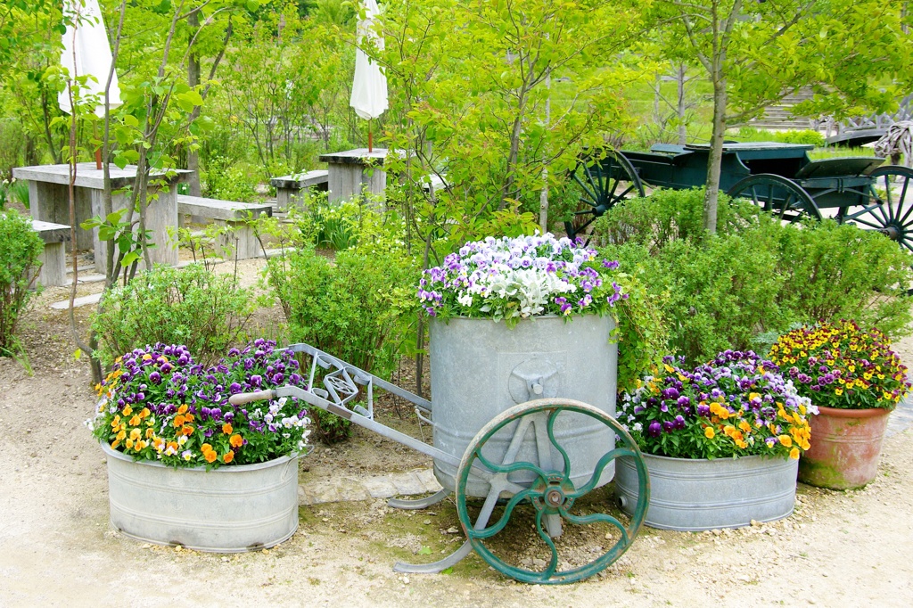 garden 006