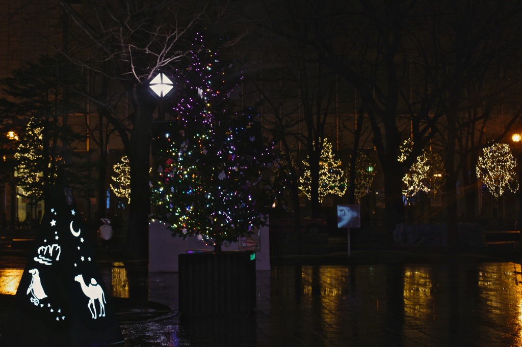 White Illumination 20