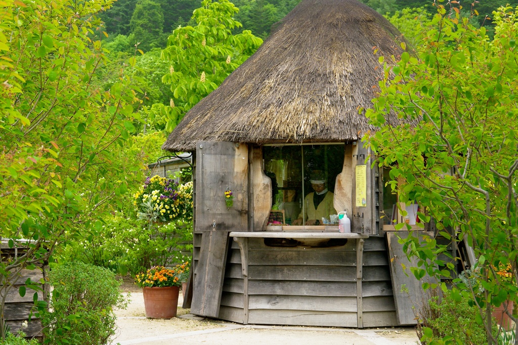 garden 007