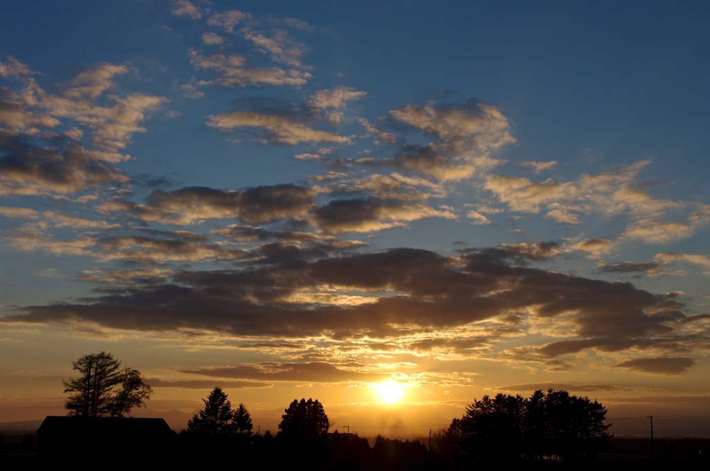 夕日4