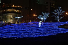 White Illumination 16