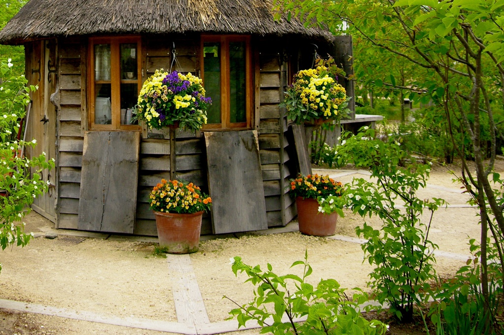 garden 005
