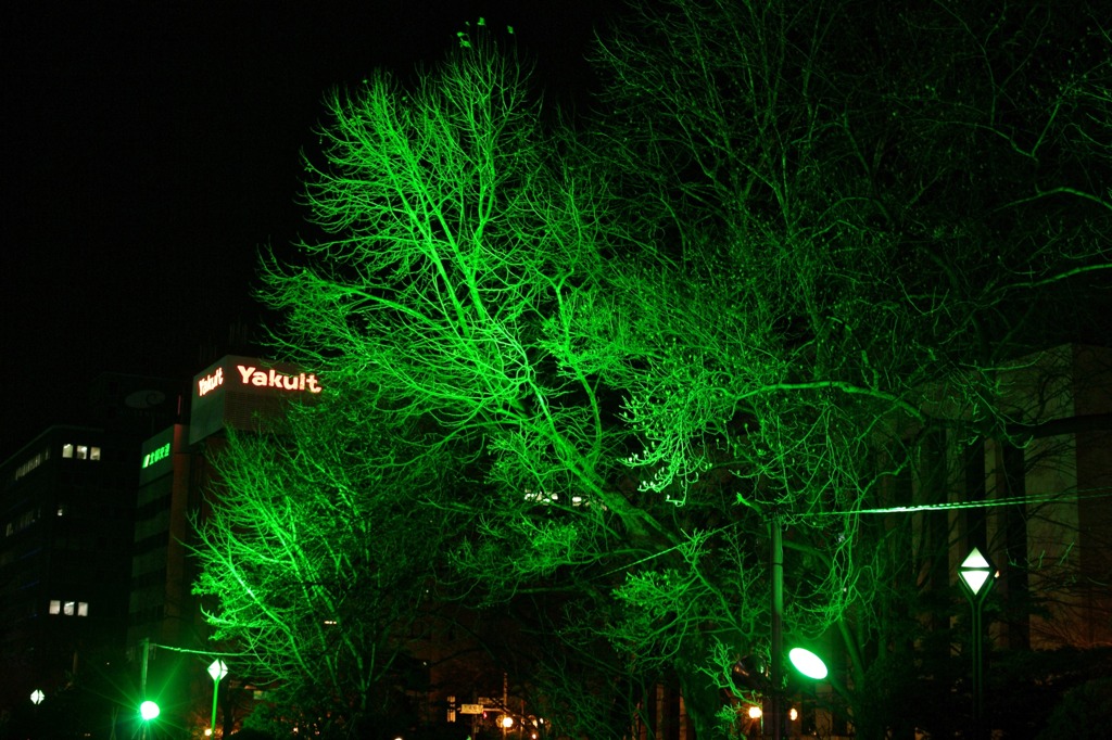 White Illumination 29