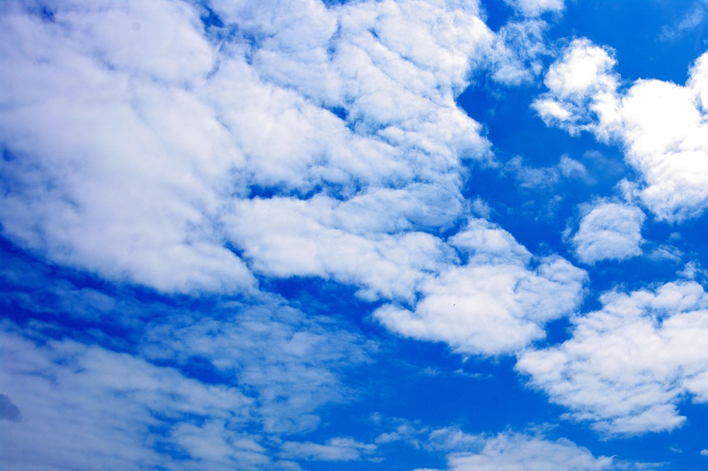 sky003