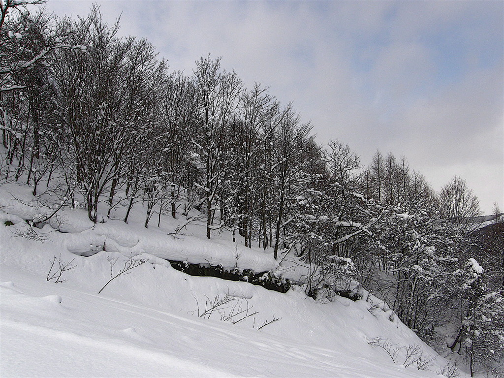 冬の北海道３