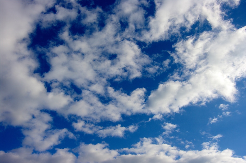 sky009