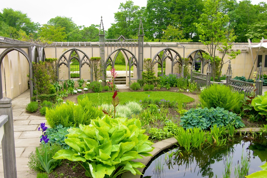 garden 009