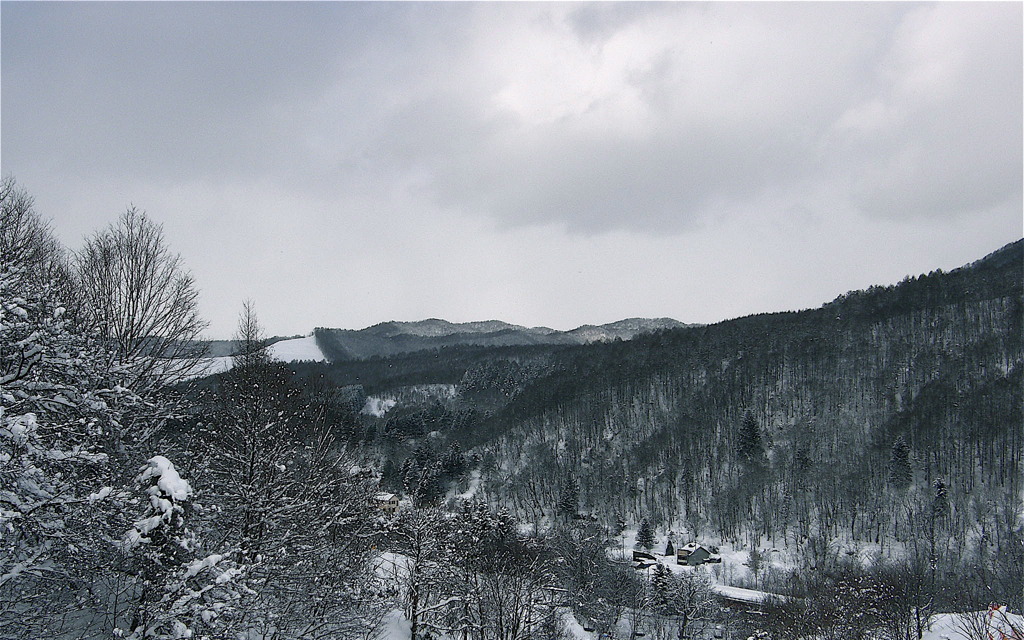 冬の北海道