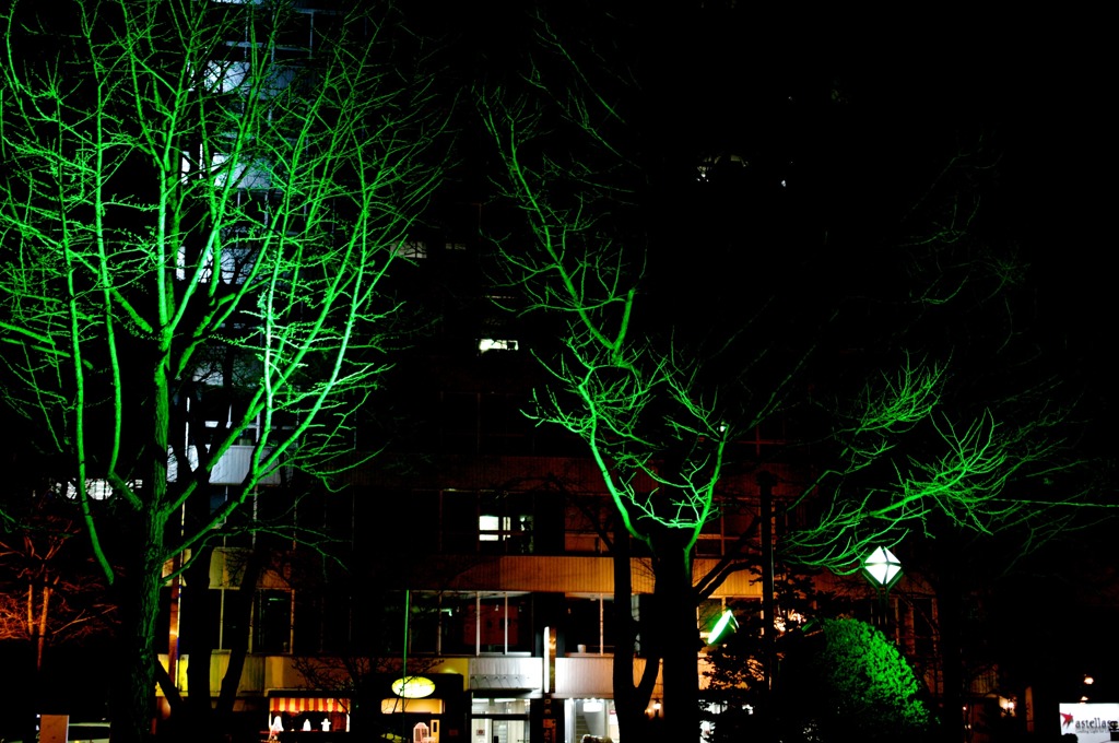White Illumination 27