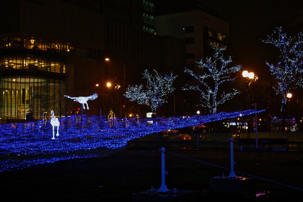 White Illumination 21