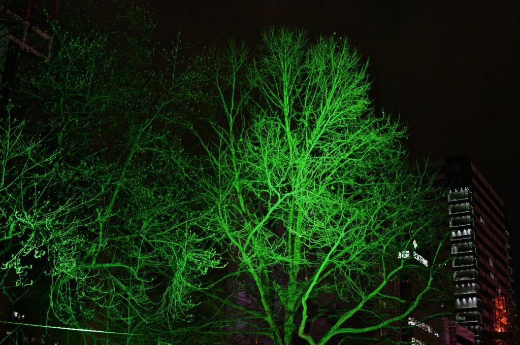 White Illumination 28