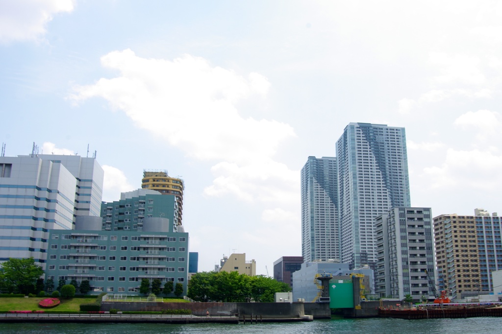 harbor 06